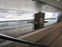 水辺ss.jpg