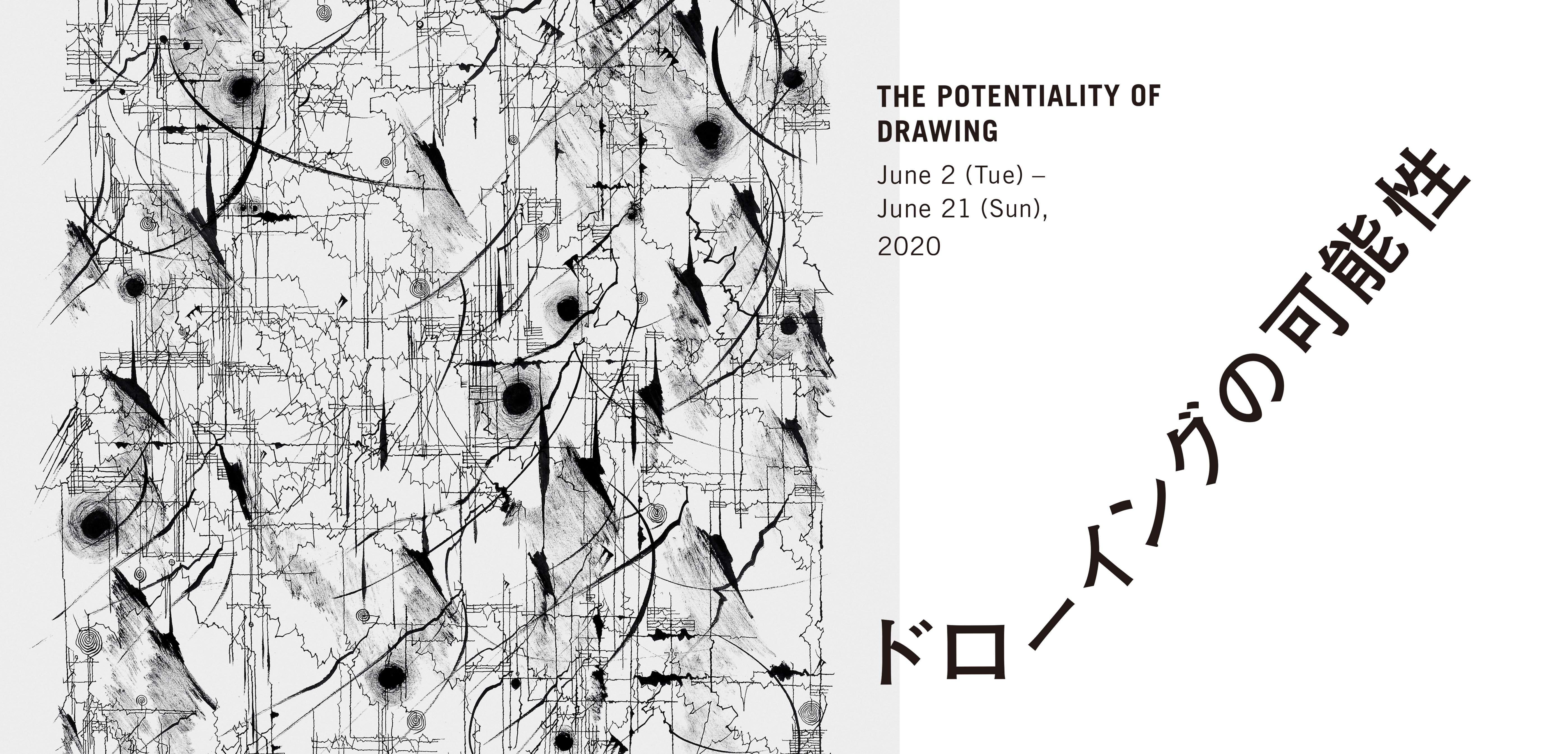 The Potentiality of Drawing