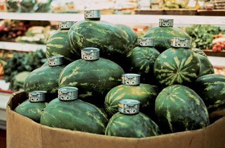 5.Cats and Watermelons.jpg