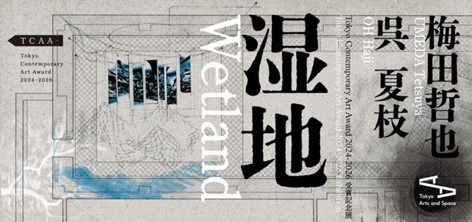 ソル・ルウィット オープン・ストラクチャー | 展覧会 | 東京都現代