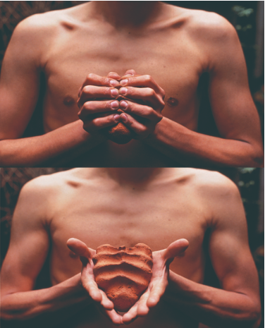 Gabriel Orozco-Inner Cycles | Exhibitions | MUSEUM OF CONTEMPORARY
