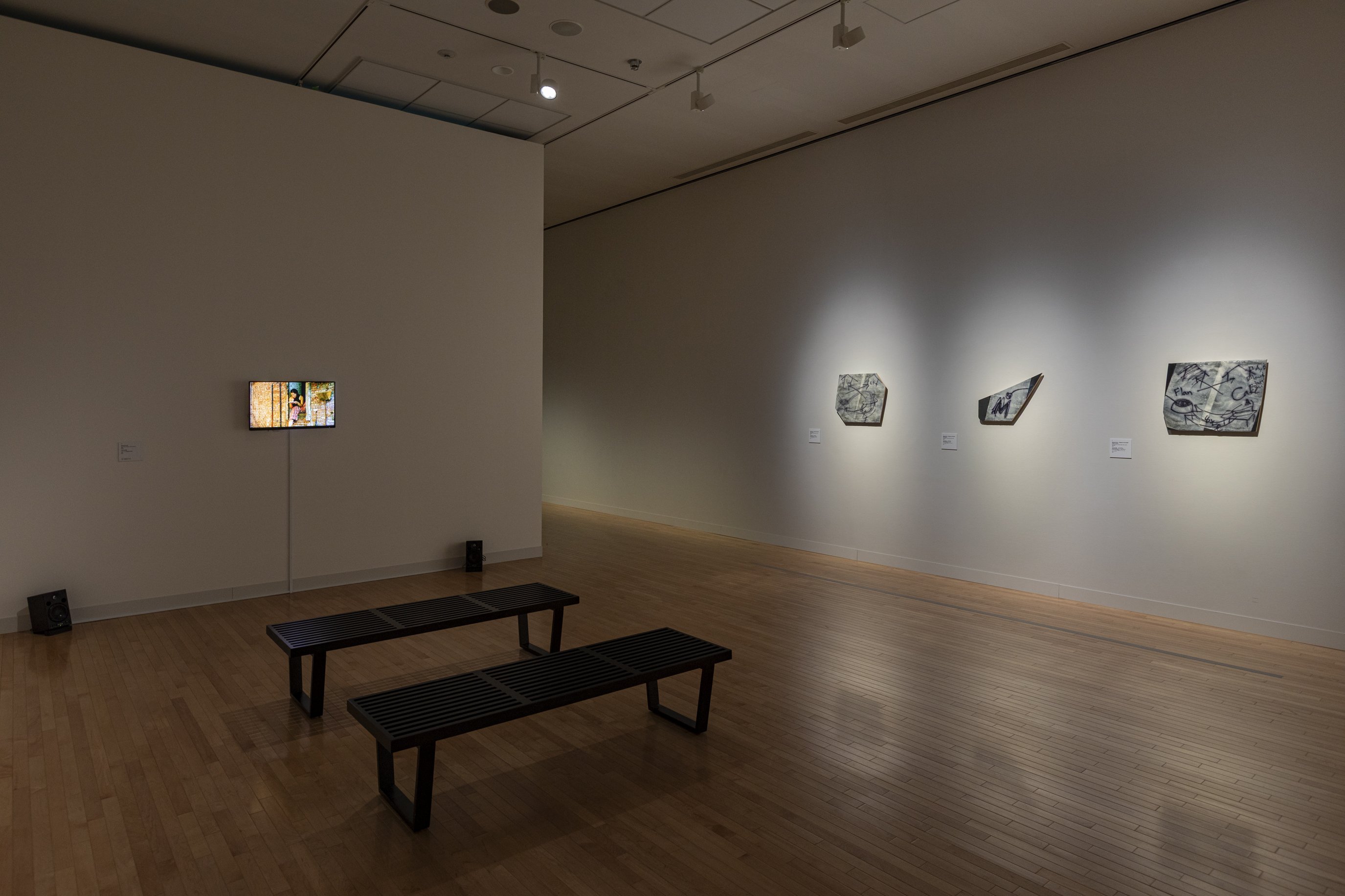 撮影：白井晴幸