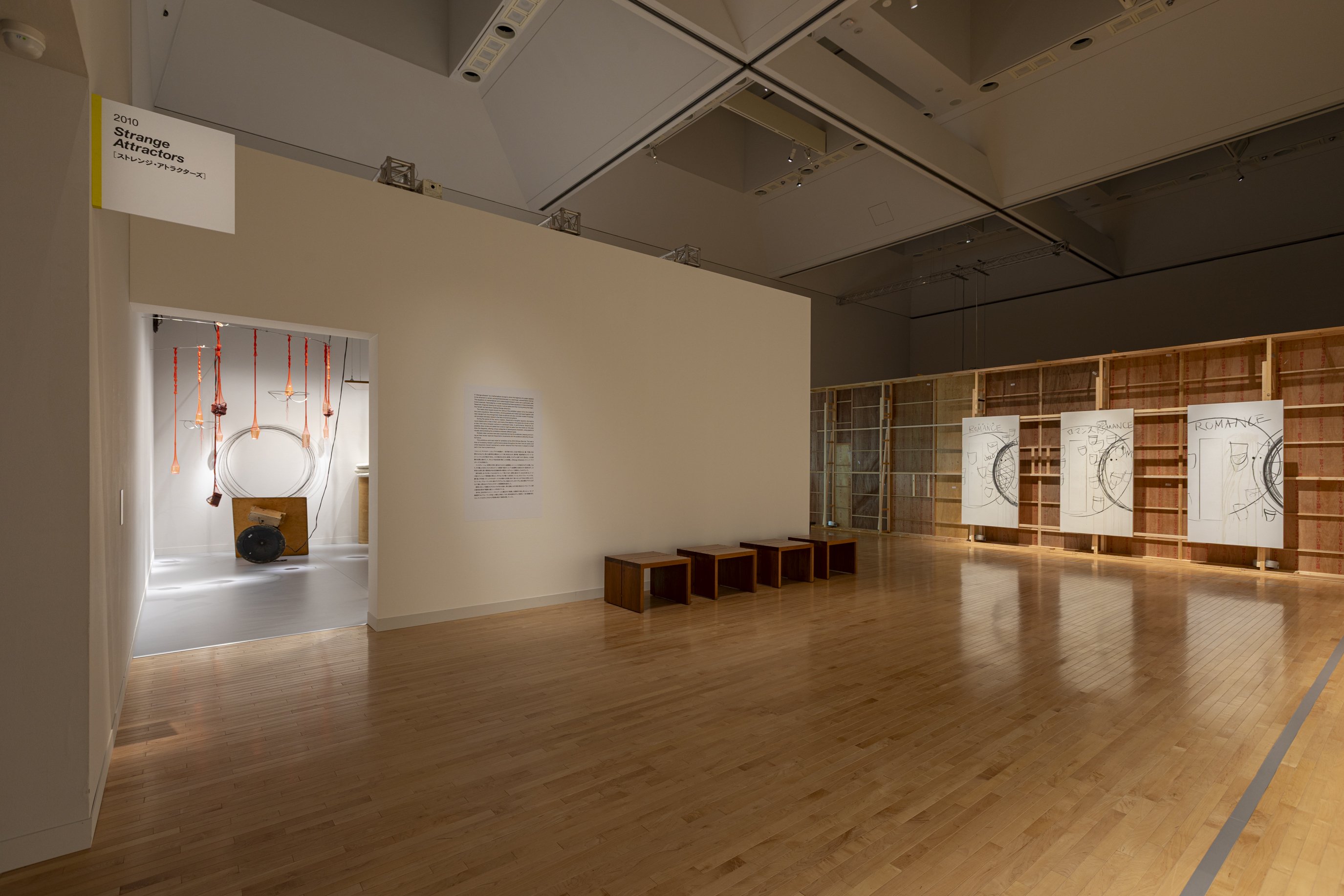 撮影：白井晴幸