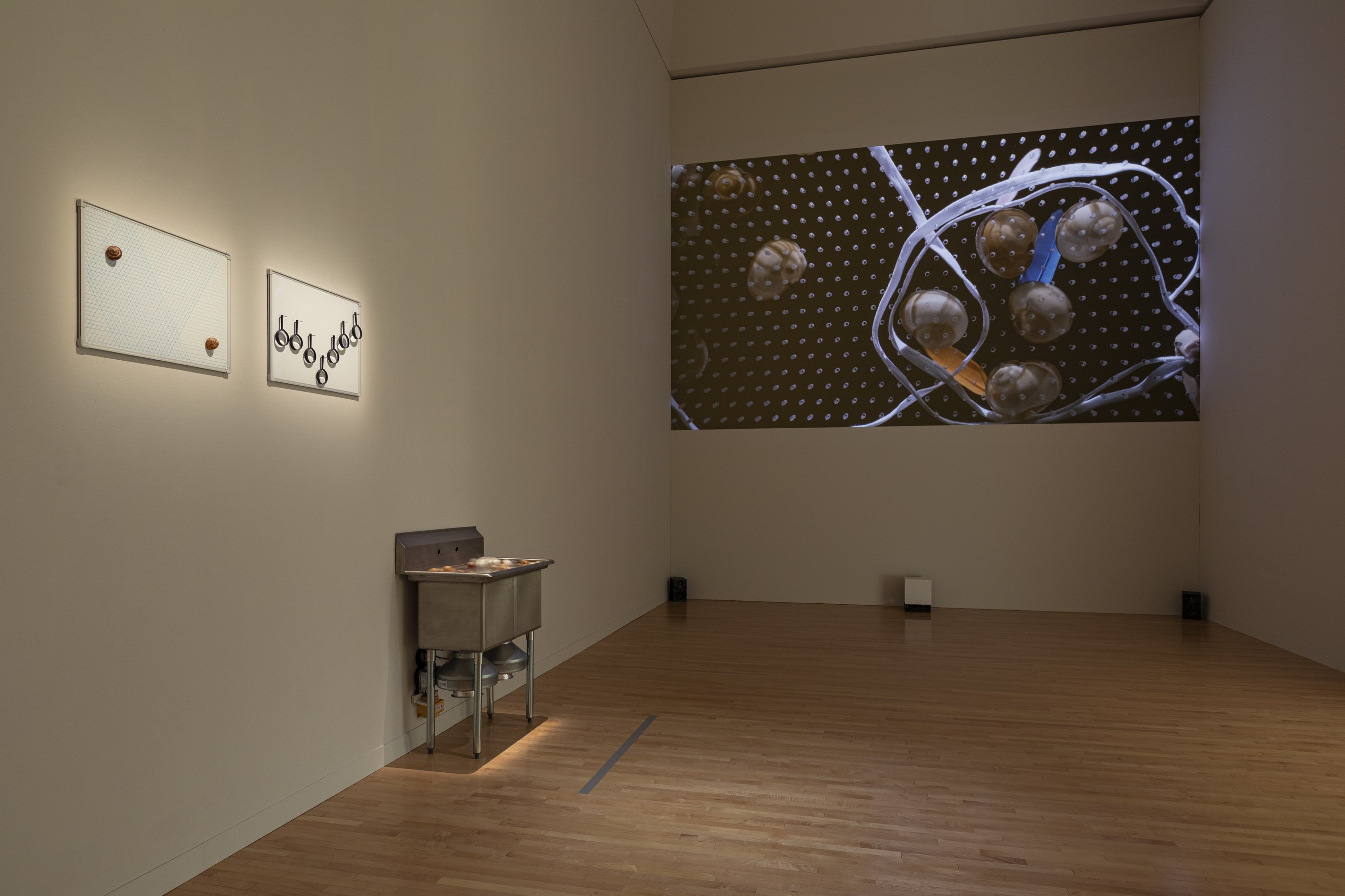 撮影：白井晴幸