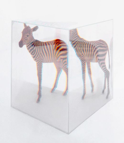 PixCell[Zebra]  2003