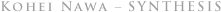 KOHEI NAWA SYNTHESIS