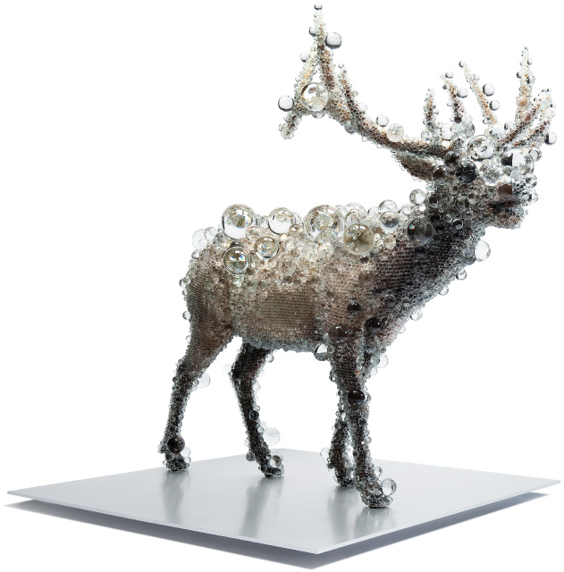 PixCell-Elk#2  2009