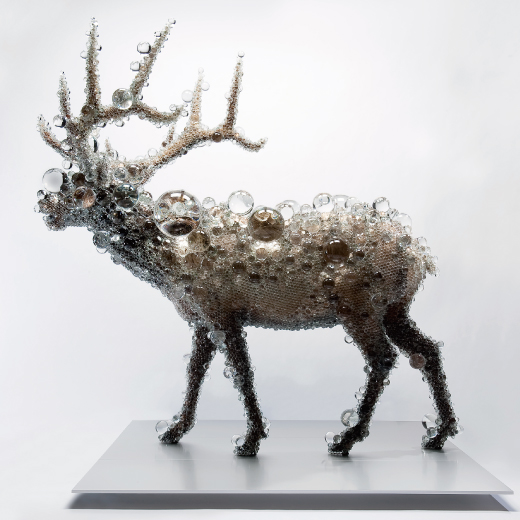 PixCell-Elk#2  2009