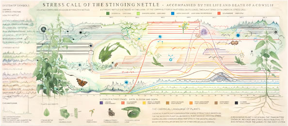 Stress Call of the Stinging Nettle, 2010